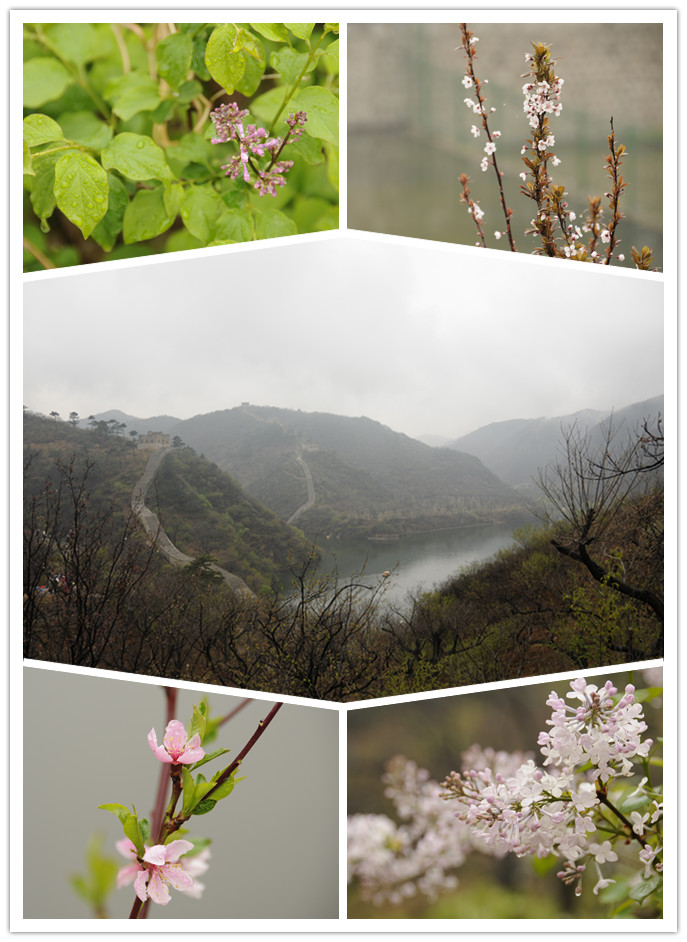 1640849466899217.jpg 1640849466899217.jpg